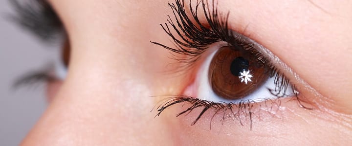 eye